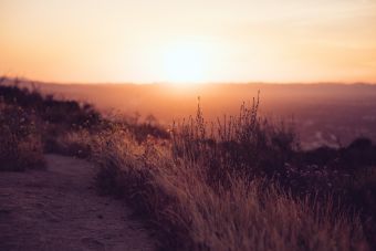 Somatic Therapy Vancouver
